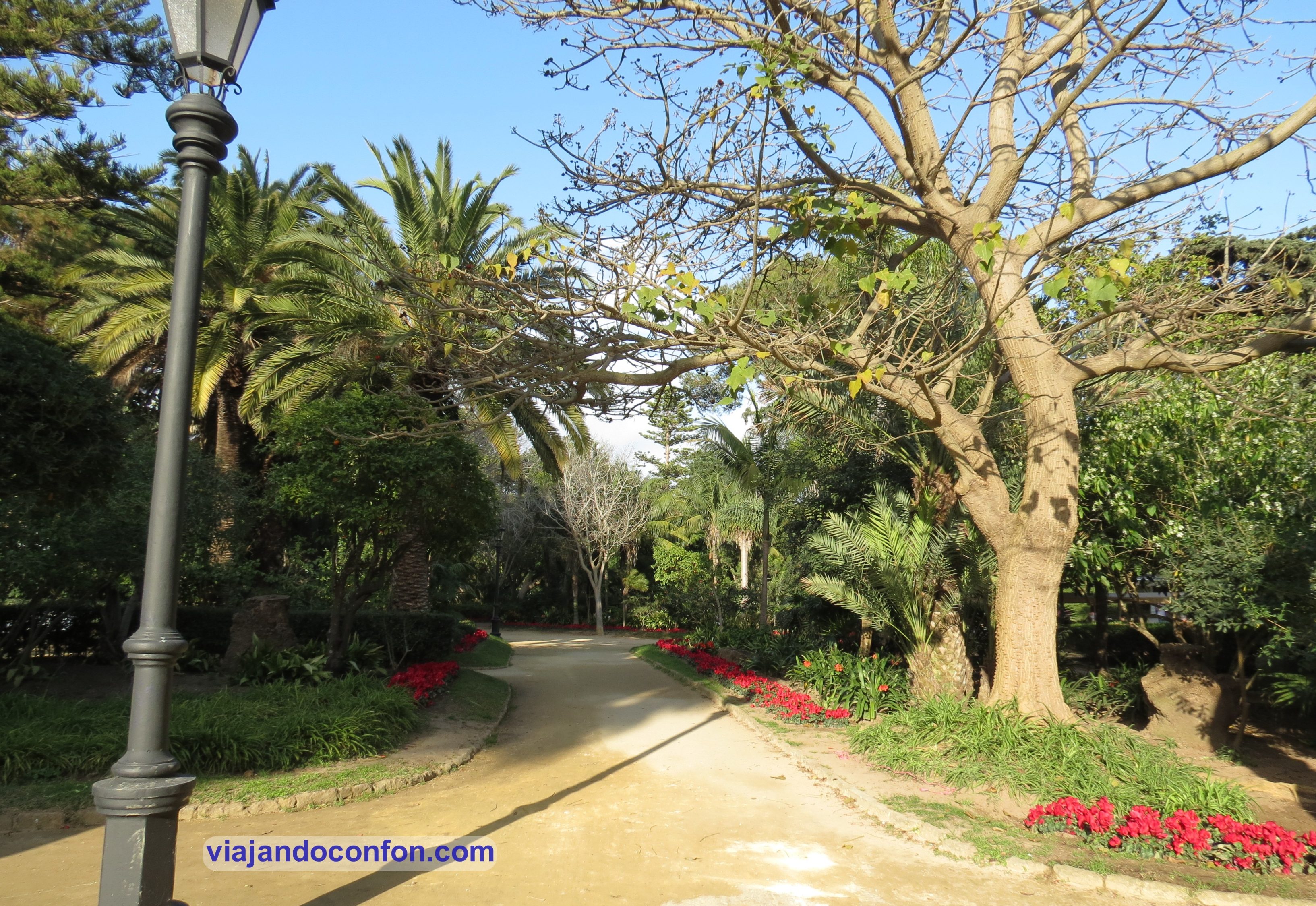 Parque Genovés Cádiz