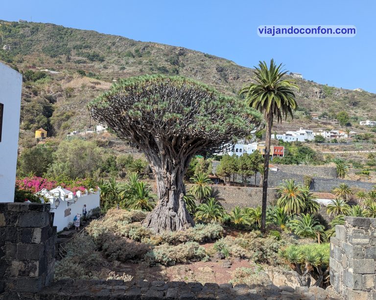 Tenerife 2025 (II): volvemos a las Islas Afortunadas