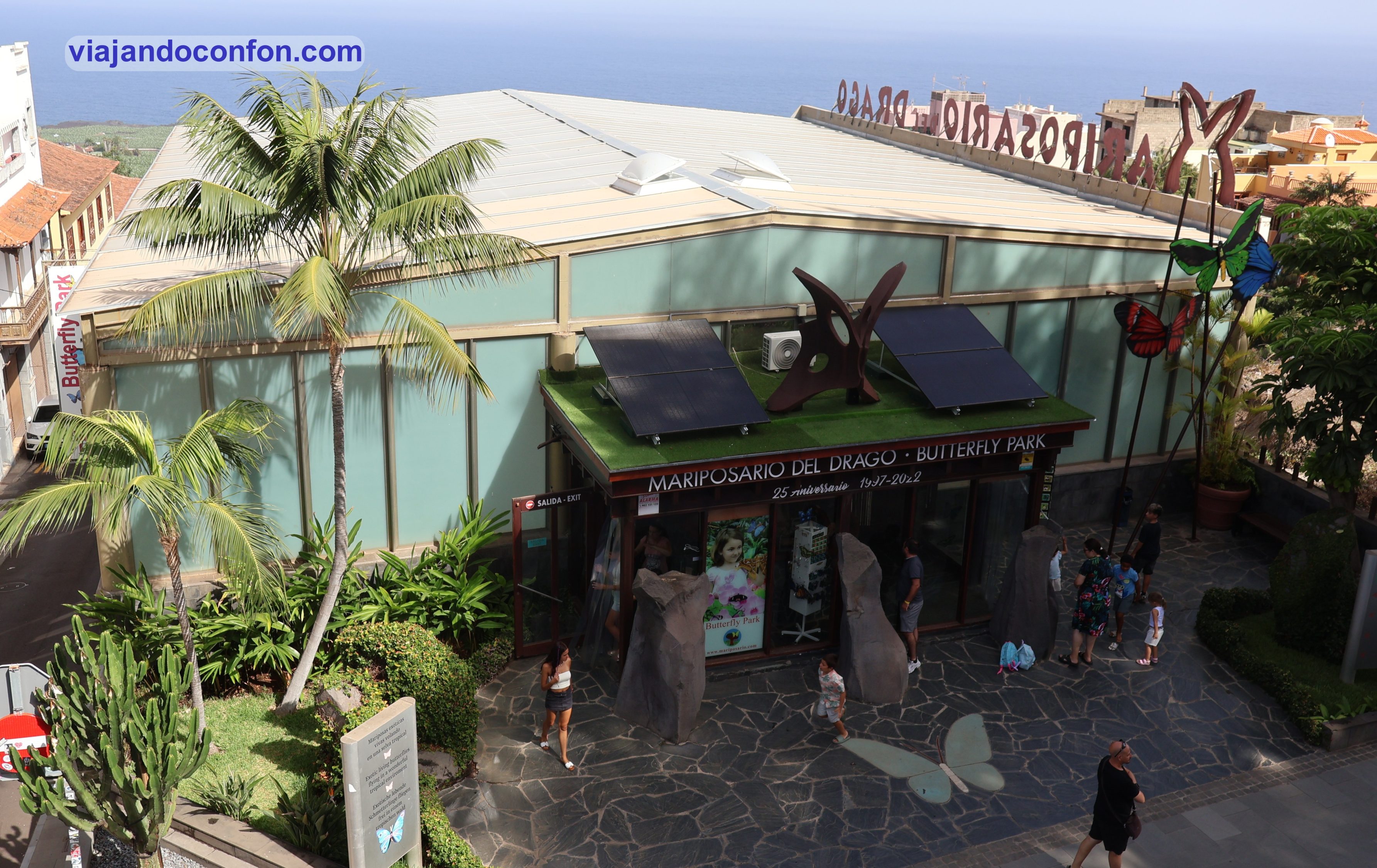 Que hacer en Icod de los Vinos