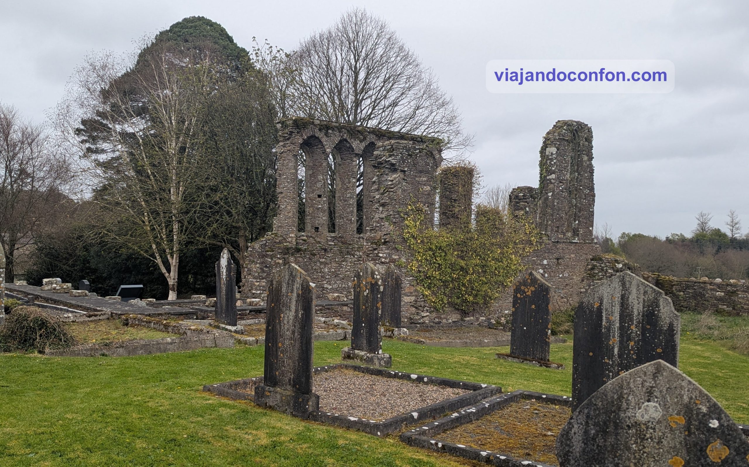 The Cathedral Church of St. Edan Ferns