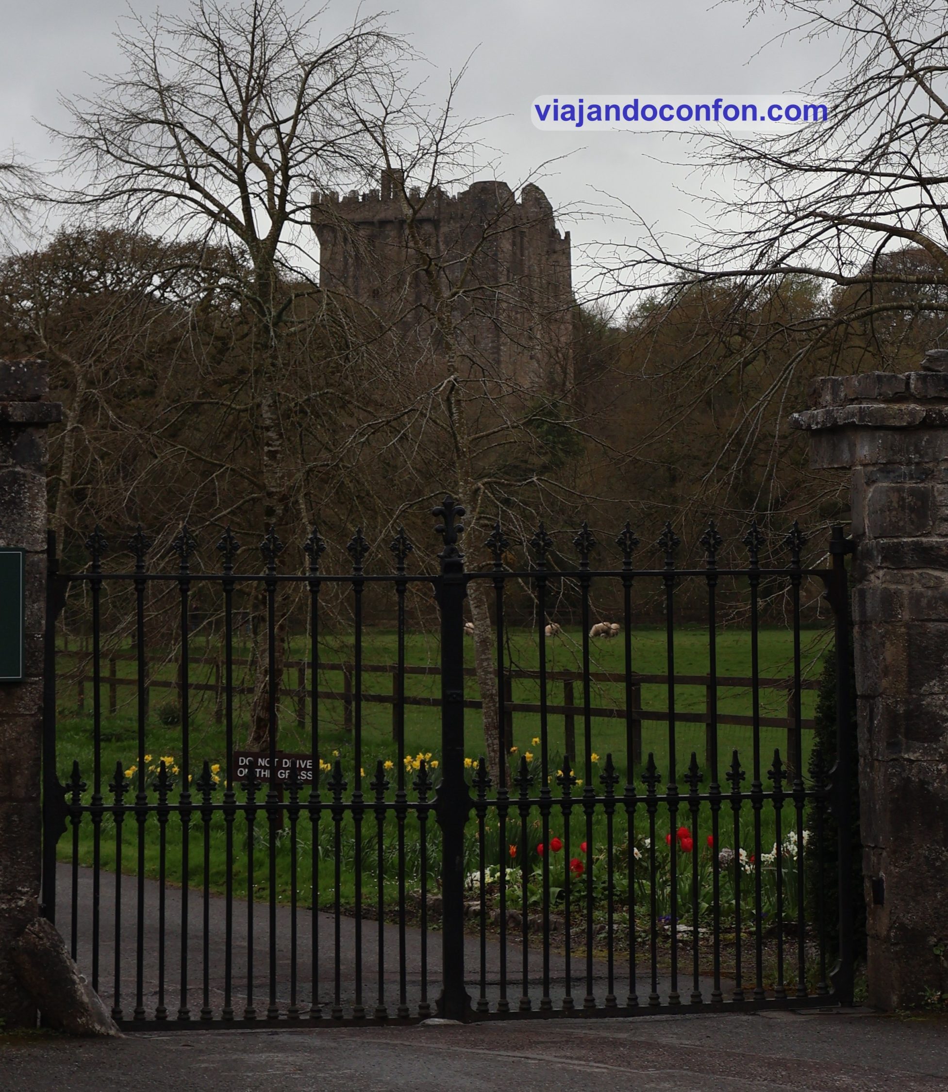 Blarney Castle