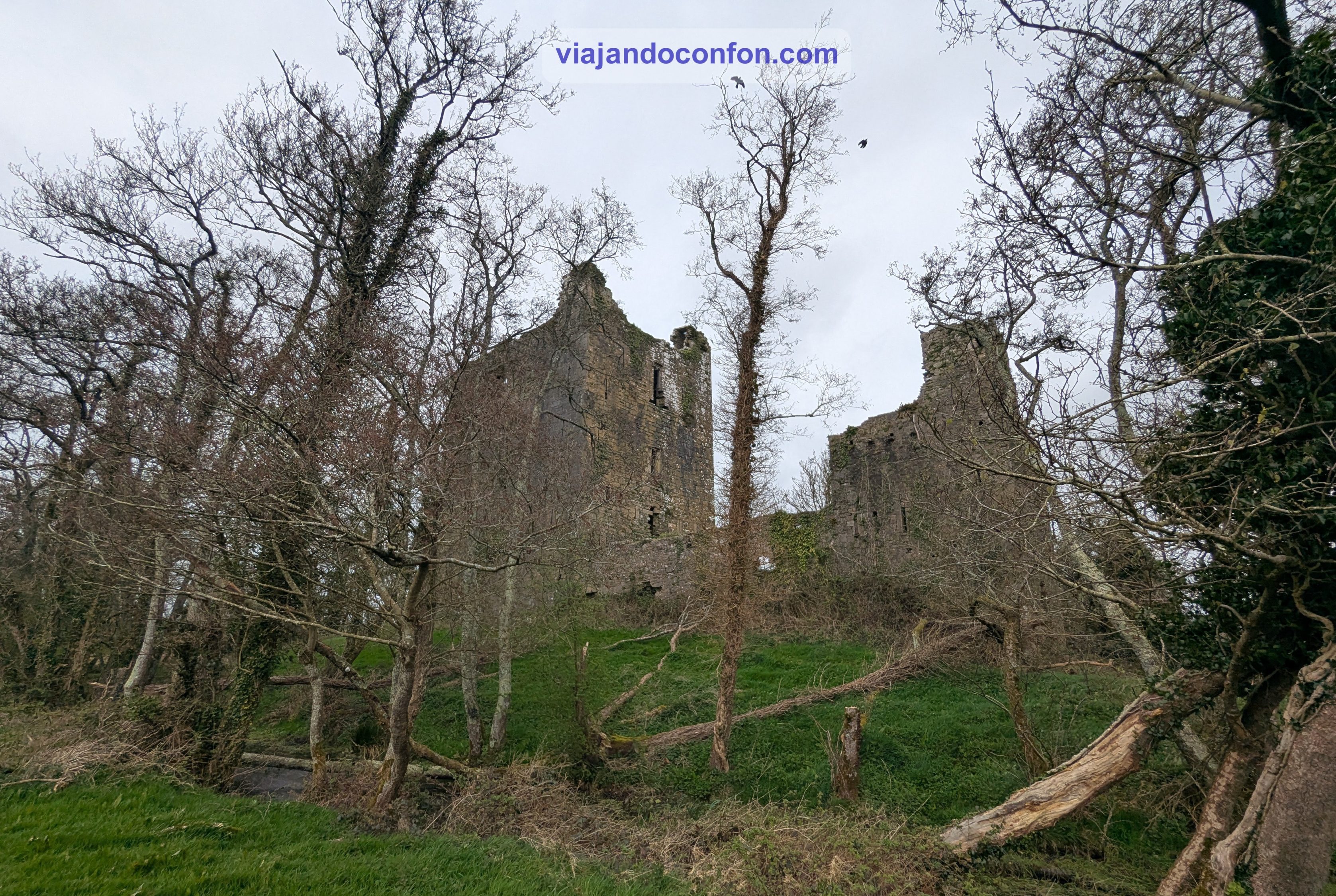 Castillo de Kilcrea / kilcrea castle
que hacer en cork