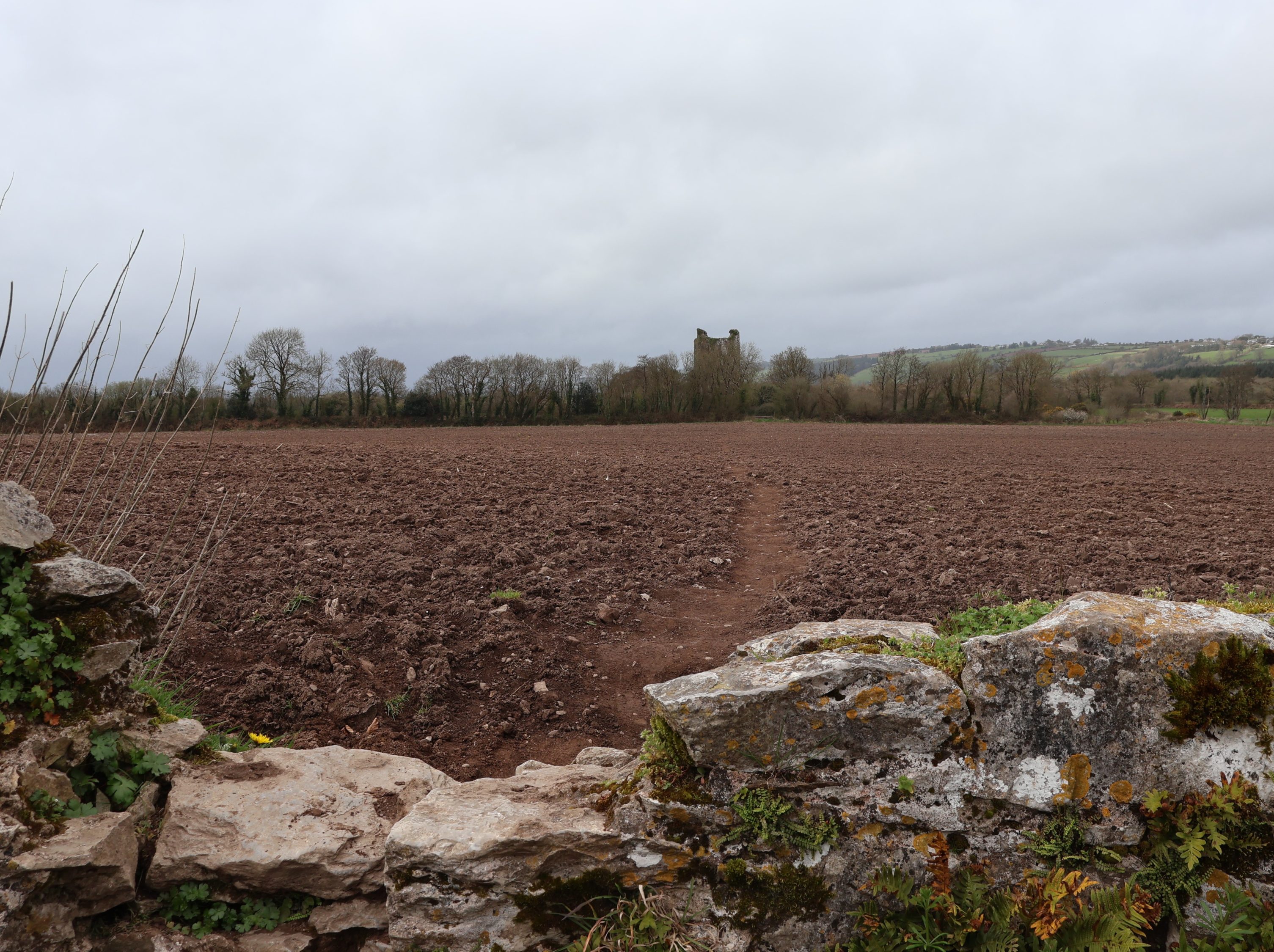Castillo de Kilcrea / kilcrea castle
que hacer en cork