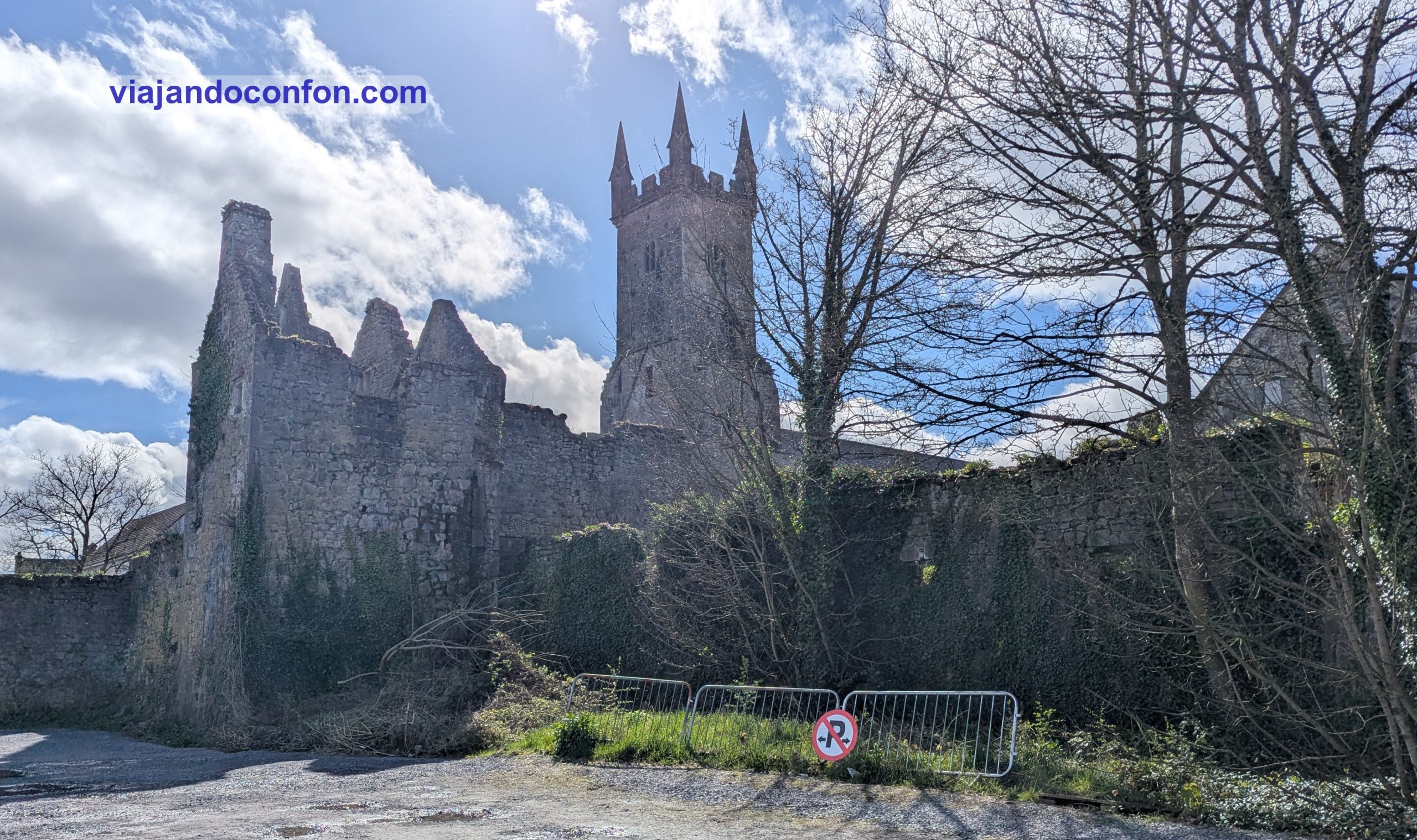 Ennis Friary