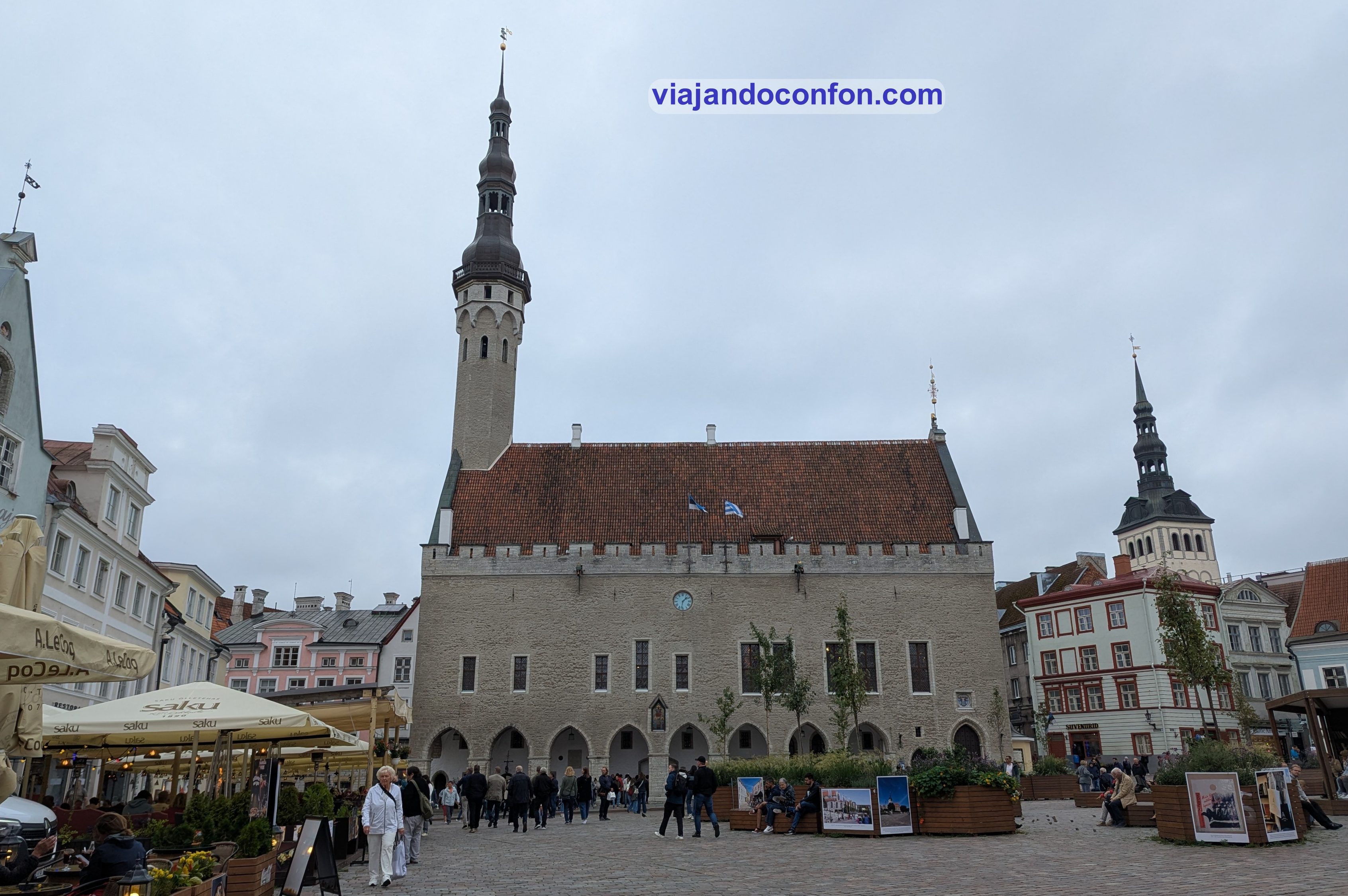 que hacer en estonia