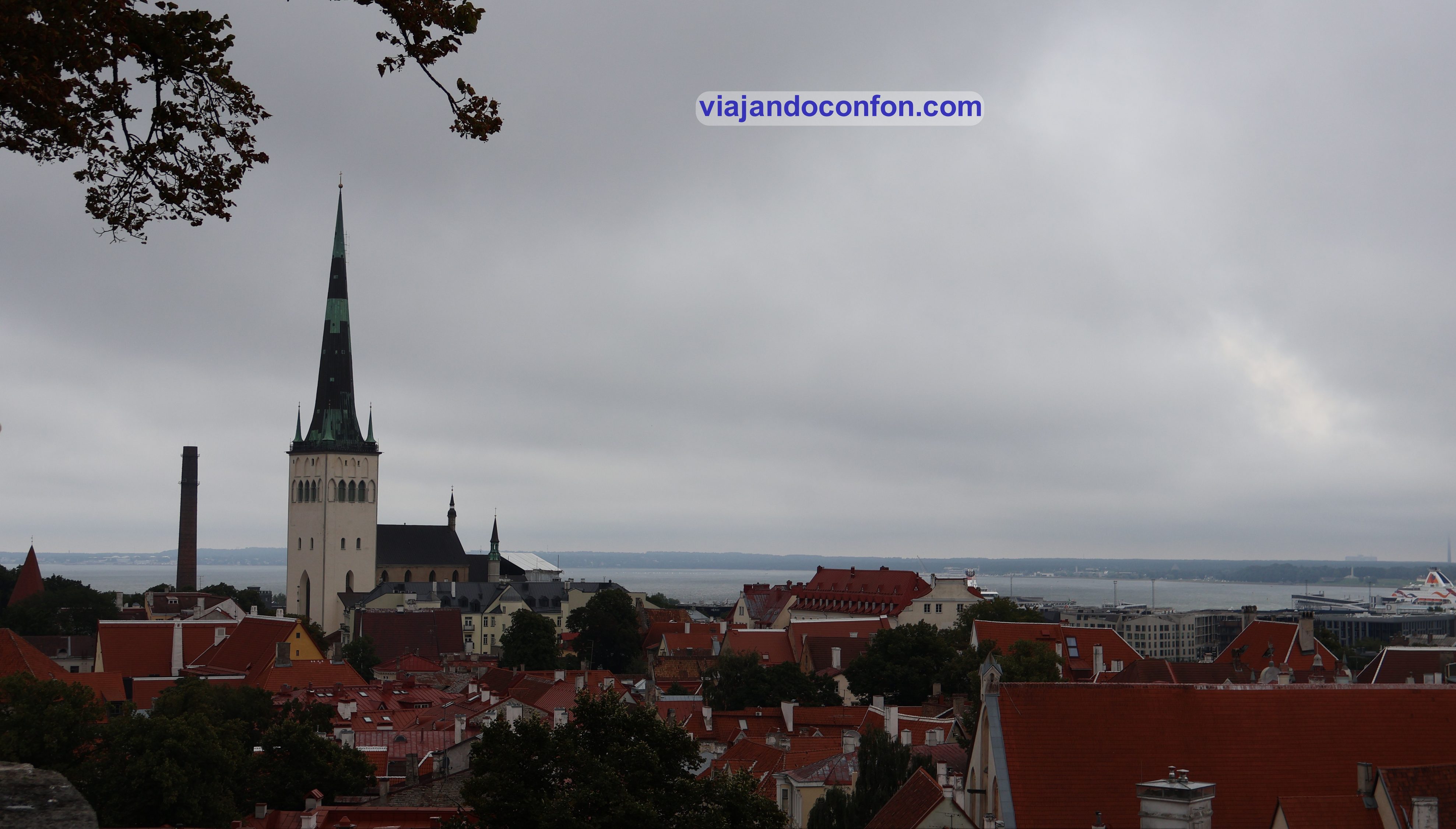 que hacer en estonia
